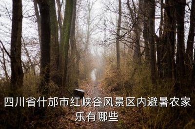 德阳华强村水库农家乐 中餐制售与清凉避暑的完美之选